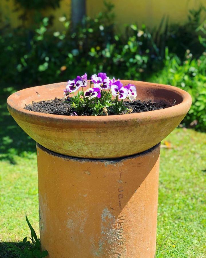 לוקה Agriturismo La Conte מראה חיצוני תמונה